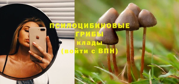 тгк Балахна