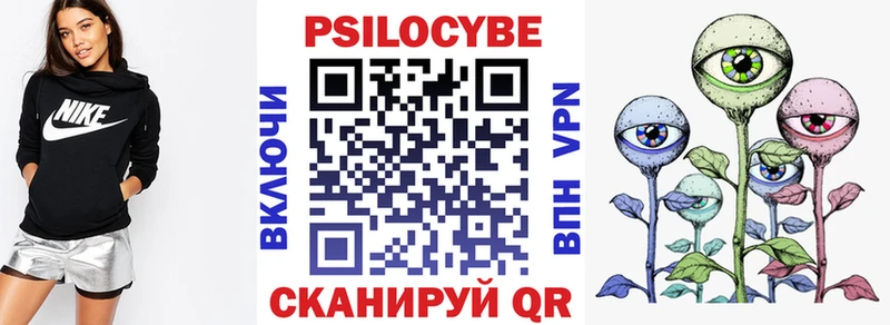 Псилоцибиновые грибы Cubensis купить наркотики сайты Няндома
